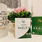 IAM Amazing Barley 2 Boxes | Free Shipping | Cash on Delivery